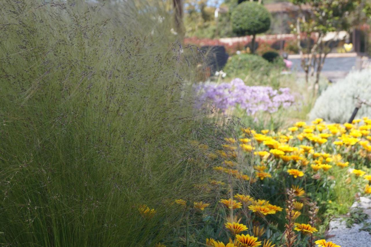 Les Jardins De Santa Giulia - Charmante Chambre D'Hote Πόρτο Βέκιο Εξωτερικό φωτογραφία