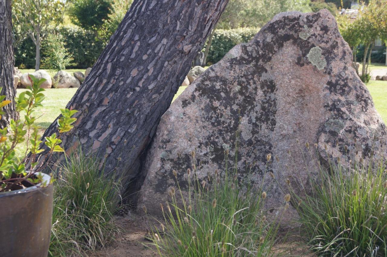 Les Jardins De Santa Giulia - Charmante Chambre D'Hote Πόρτο Βέκιο Εξωτερικό φωτογραφία